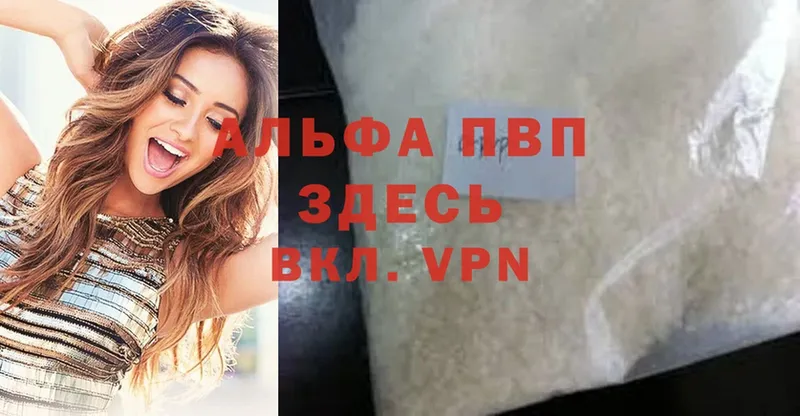 купить закладку  Туймазы  Alfa_PVP крисы CK 